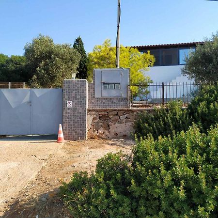 Cap Sounion Seafront Apartment - Adults Only Dış mekan fotoğraf