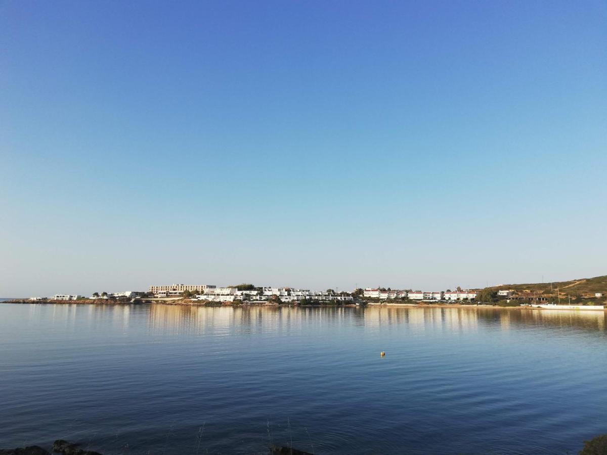 Cap Sounion Seafront Apartment - Adults Only Dış mekan fotoğraf