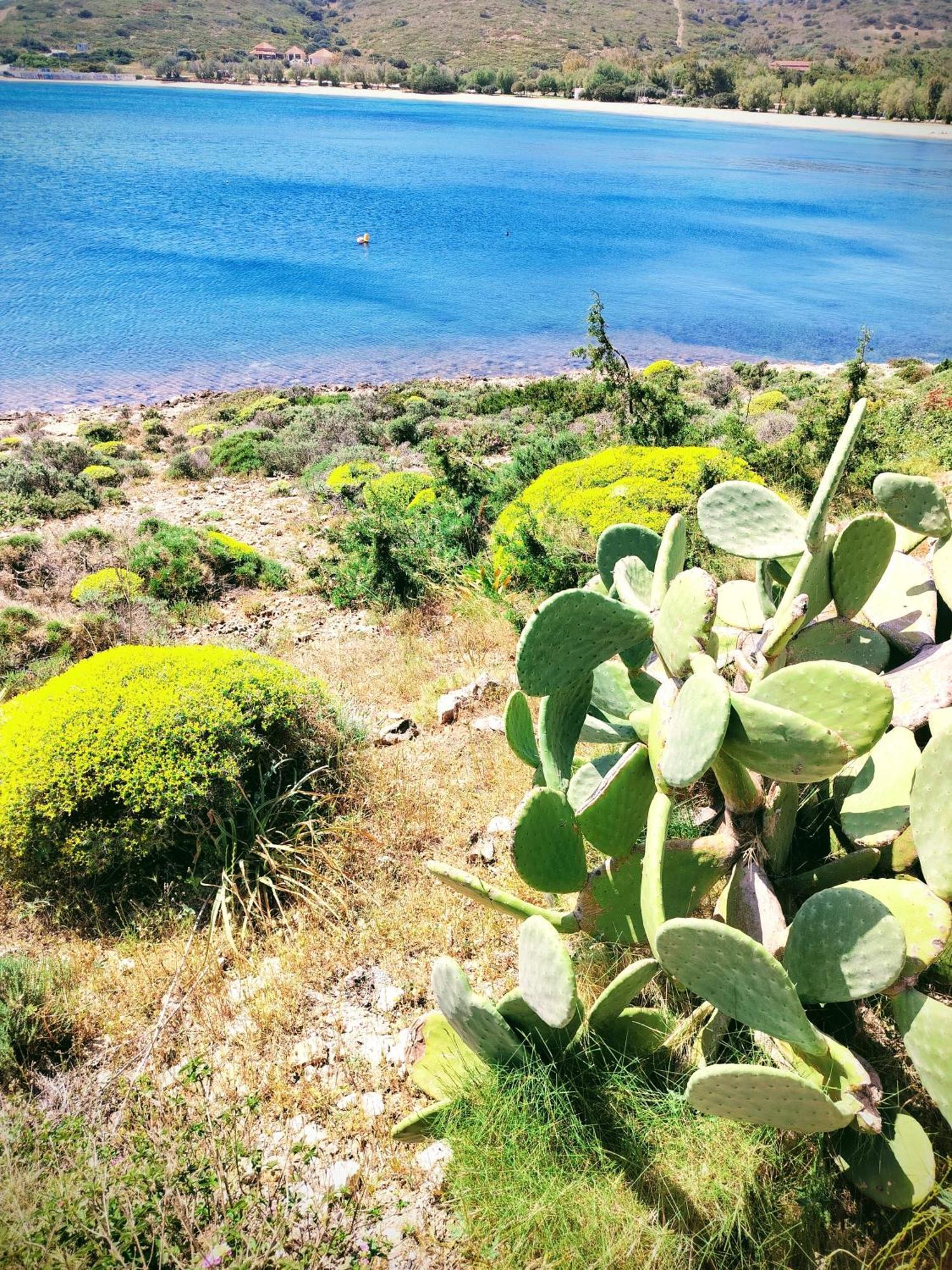 Cap Sounion Seafront Apartment - Adults Only Dış mekan fotoğraf