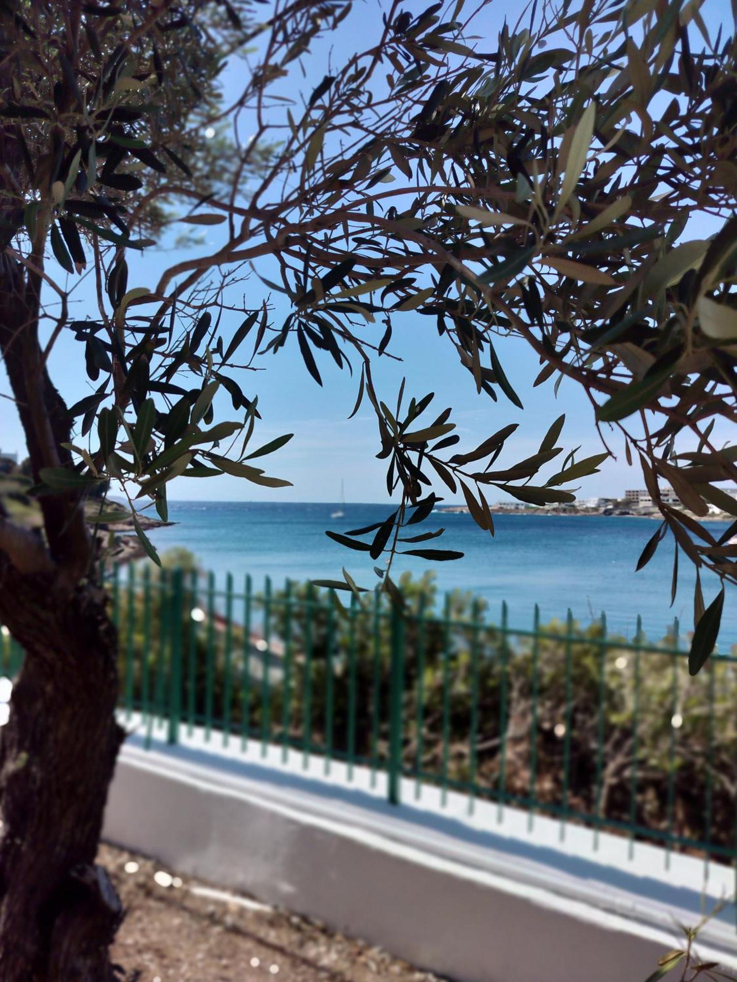 Cap Sounion Seafront Apartment - Adults Only Dış mekan fotoğraf