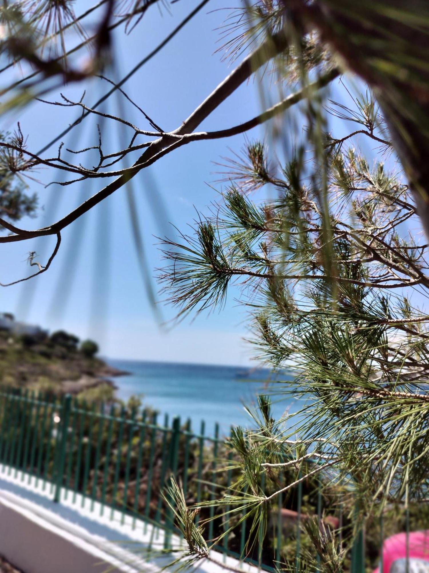 Cap Sounion Seafront Apartment - Adults Only Dış mekan fotoğraf